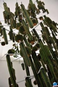 Exposition Le Jardin d'Eden - MFM - 06