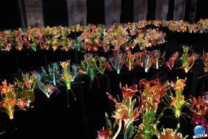 Exposition Le Jardin d'Eden - MFW - 03