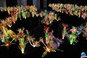 Exposition Le Jardin d'Eden - MFW - 06