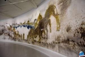 Exposition Les Vivants - 37
