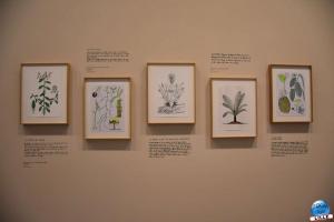 Exposition Les Vivants - 39