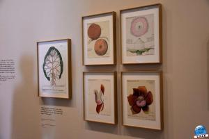Exposition Les Vivants - 40