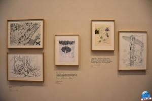 Exposition Les Vivants - 41