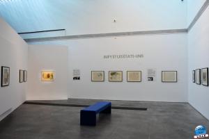 Exposition Raoul Dufy - 13