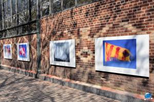 Exposition "Le Regard d'Hélène" dans la ville - 08