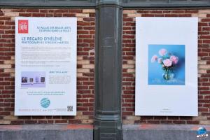Exposition "Le Regard d'Hélène" dans la ville - 10