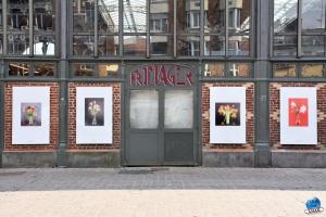 Exposition "Le Regard d'Hélène" dans la ville - 11