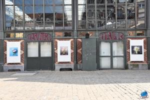 Exposition "Le Regard d'Hélène" dans la ville - 12
