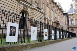 Exposition "Le Regard d'Hélène" dans la ville - 20