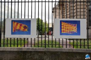 Exposition "Le Regard d'Hélène" dans la ville - 22