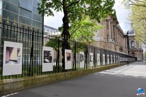 Exposition "Le Regard d'Hélène" dans la ville - 30
