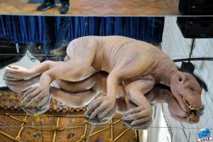 Exposition Le Serpent Cosmique - 13
