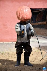 Exposition Le Serpent Cosmique - 21