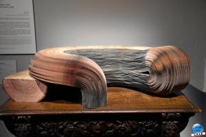 Exposition Le Serpent Cosmique - 52