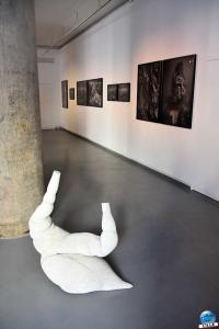 Exposition Cette mer qui nous entoure - 04