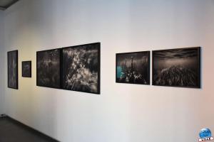 Exposition Cette mer qui nous entoure - 05
