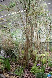 Exposition Môm'art 2022 - 14