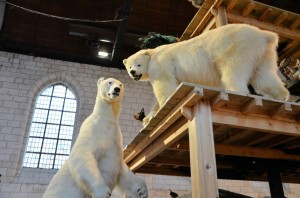 expos_22_20121023_1071859776