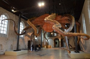 expos_30_20121023_1467064061
