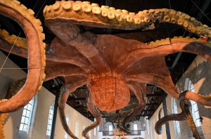 expos_31_20121023_1953840546
