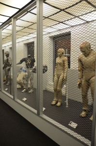 science_37_20121130_2052062348