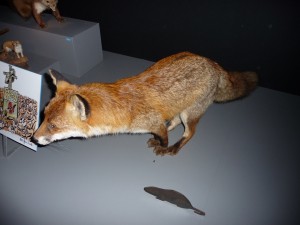 expo_predateur_27_20091002_1416183232