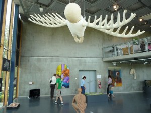 co3_9_20090719_1215422878