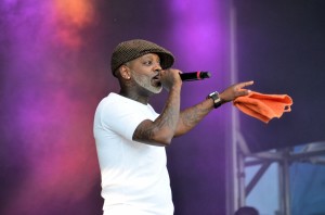 Fan Zone Lille Métropole 253   