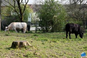 Ferme Pédagogique Marcel Dhénin