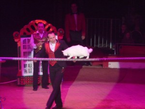 cirque_19_20091206_1247382392
