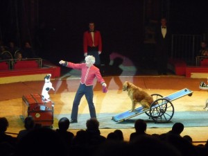 cirque_20_20091206_1916207900 