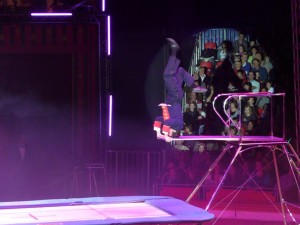 cirque_23_20091206_1602371208 