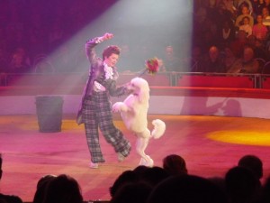 cirque_38_20101019_1770991657