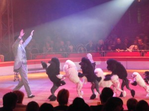 cirque_39_20101019_1239438378