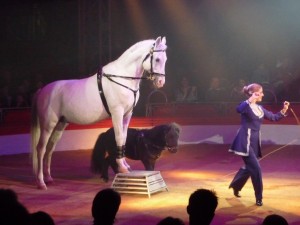 cirque_44_20101019_2059753375