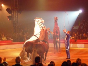 cirque_45_20101019_2010849577