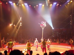 cirque_46_20101019_1754710995