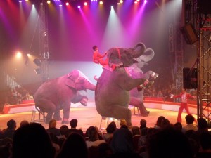 cirque_55_20101019_1442144793