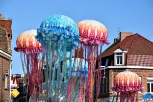 Fête des Nieulles 2019 - 38