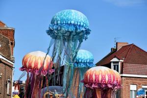Fête des Nieulles 2019 - 39