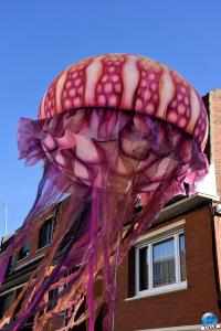 Fête des Nieulles 2019 - 49