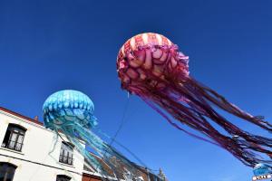 Fête des Nieulles 2019 - 52