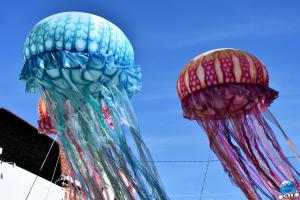 Fête des Nieulles 2019 - 53