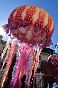 Fête des Nieulles 2019 - 57