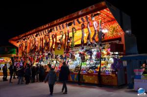 Foire aux Manèges 47