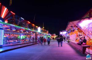 Foire aux Manèges 54