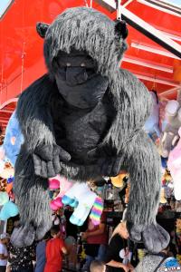 Foire aux Manèges de Lille 2019 - 06
