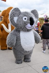 Foire aux Manèges de Lille 2026 - 24