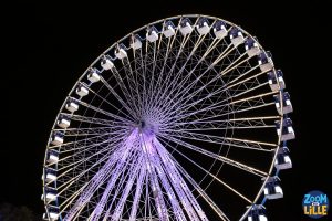 Foire aux Manèges de Lille 2026 - 66