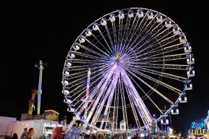 Foire aux Manèges de Lille 2026 - 74